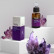 Сыворотка с фолиевой кислотой (B9) Folic Acid (B9) Serum, 20 мл Сыворотка с фолиевой кислотой (B9) Folic Acid (B9) Serum, 20 мл